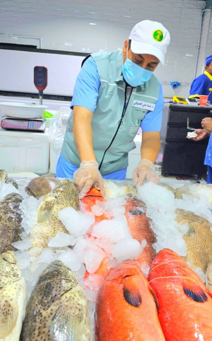 مخالفات في أسواق الأسماك بجدة واتلاف أكثر من طن أسماك#مخالفات #في #أسواق #الأسماك #بجدة #واتلاف #أكثر #من #طن #أسماك