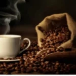 مرضى الكلى.. تحذير طبي يحسم الجدل حول تناول القهوة في مطلع 2026#مرضى #الكلى. #تحذير #طبي #يحسم #الجدل #حول #تناول #القهوة #في #مطلع