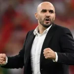 أول رد من الاتحاد المغربي على استقالة وليد الركراكي – كل الكورة#أول #رد #من #الاتحاد #المغربي #على #استقالة #وليد #الركراكي #كل #الكورة