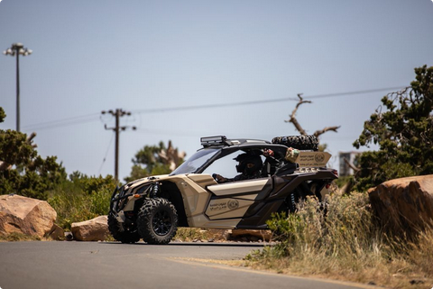 الأمن البيئي يضبط مواطنًا يرعى 7 من الإبل في مواقع محظورة داخل محمية الإمام عبدالعزيز بن محمد#الأمن #البيئي #يضبط #مواطنا #يرعى #من #الإبل #في #مواقع #محظورة #داخل #محمية #الإمام #عبدالعزيز #بن #محمد