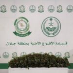 القبض على مواطن لترويجه (11) كيلو جرامًا من القات المخدر#القبض #على #مواطن #لترويجه #كيلو #جراما #من #القات #المخدر