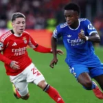 بنفيكا يتقدم بشكوى لـ«فيفا» ضد ريال مدريد بعد واقعة العنصرية التي طالت فينيسيوس#بنفيكا #يتقدم #بشكوى #لـفيفا #ضد #ريال #مدريد #بعد #واقعة #العنصرية #التي #طالت #فينيسيوس