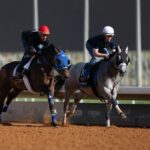 "سباقات الخيل"…. تعزز مستهدفات رؤية 2030 وتدفع عجلة الاستثمار في المملكة#سباقات #الخيل #تعزز #مستهدفات #رؤية #وتدفع #عجلة #الاستثمار #في #المملكة