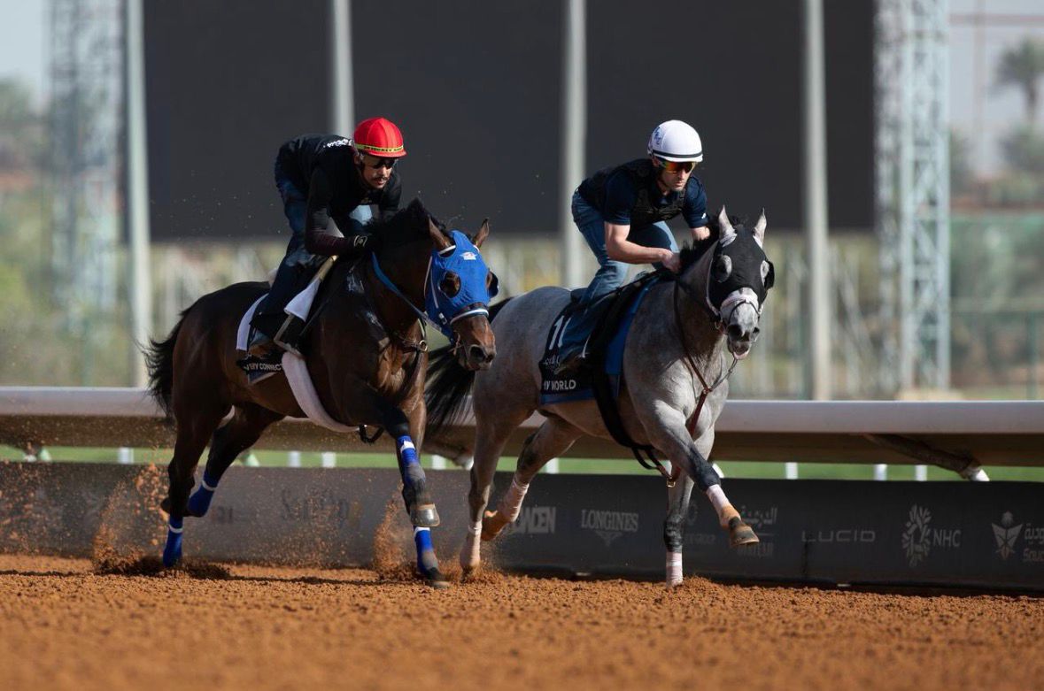 "سباقات الخيل"…. تعزز مستهدفات رؤية 2030 وتدفع عجلة الاستثمار في المملكة#سباقات #الخيل #تعزز #مستهدفات #رؤية #وتدفع #عجلة #الاستثمار #في #المملكة