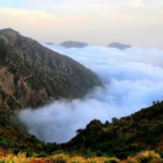 من الصيف في مكة إلى شتاء أبها.. فوارق حرارية كبرى تشهدها المملكة اليوم#من #الصيف #في #مكة #إلى #شتاء #أبها. #فوارق #حرارية #كبرى #تشهدها #المملكة #اليوم