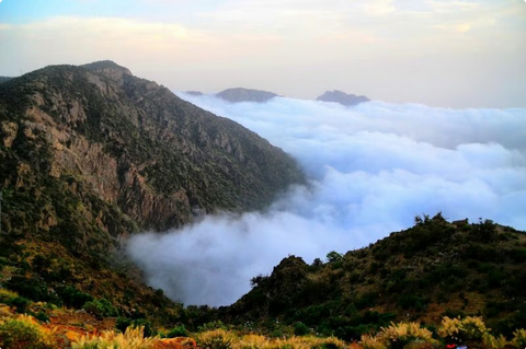 من الصيف في مكة إلى شتاء أبها.. فوارق حرارية كبرى تشهدها المملكة اليوم#من #الصيف #في #مكة #إلى #شتاء #أبها. #فوارق #حرارية #كبرى #تشهدها #المملكة #اليوم