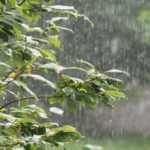 أجواء متقلبة في عيد الفطر.. أمطار غزيرة ورياح مثيرة للغبار على عدة مناطق#أجواء #متقلبة #في #عيد #الفطر. #أمطار #غزيرة #ورياح #مثيرة #للغبار #على #عدة #مناطق