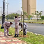 أمانة نجران تهيأ 2 مليون متر مربع من المسطحات الخضراء لإستقبال عيد الفطر#أمانة #نجران #تهيأ #مليون #متر #مربع #من #المسطحات #الخضراء #لإستقبال #عيد #الفطر