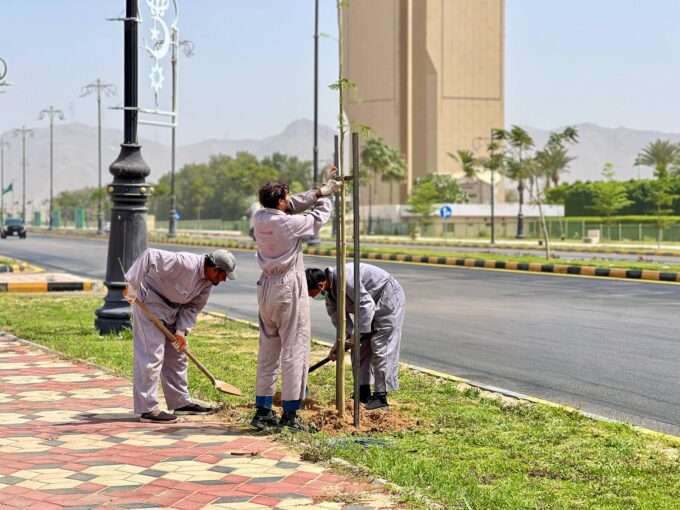 أمانة نجران تهيأ 2 مليون متر مربع من المسطحات الخضراء لإستقبال عيد الفطر#أمانة #نجران #تهيأ #مليون #متر #مربع #من #المسطحات #الخضراء #لإستقبال #عيد #الفطر