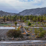 أمطار العيد تُبهج الباحة.. طبيعة خضراء وأجواء ربيعية تنعش السياحة#أمطار #العيد #تبهج #الباحة. #طبيعة #خضراء #وأجواء #ربيعية #تنعش #السياحة