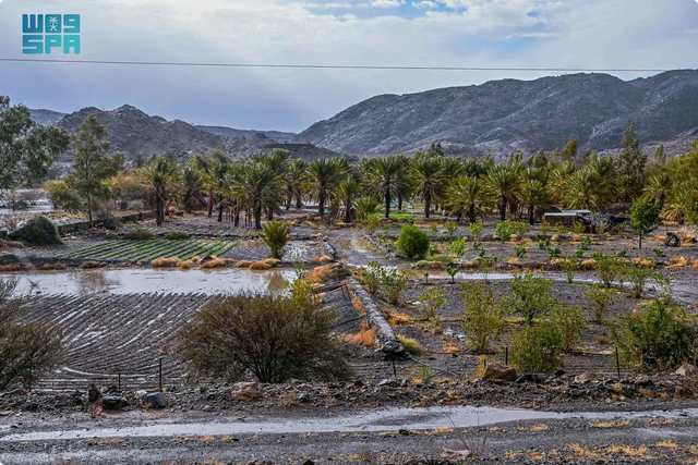 أمطار العيد تُبهج الباحة.. طبيعة خضراء وأجواء ربيعية تنعش السياحة#أمطار #العيد #تبهج #الباحة. #طبيعة #خضراء #وأجواء #ربيعية #تنعش #السياحة