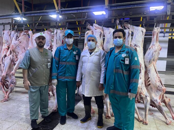 استمرار حملة «رقابتنا على الأسواق والمسالخ» بفرع الوزارة بحائل#استمرار #حملة #رقابتنا #على #الأسواق #والمسالخ #بفرع #الوزارة #بحائل