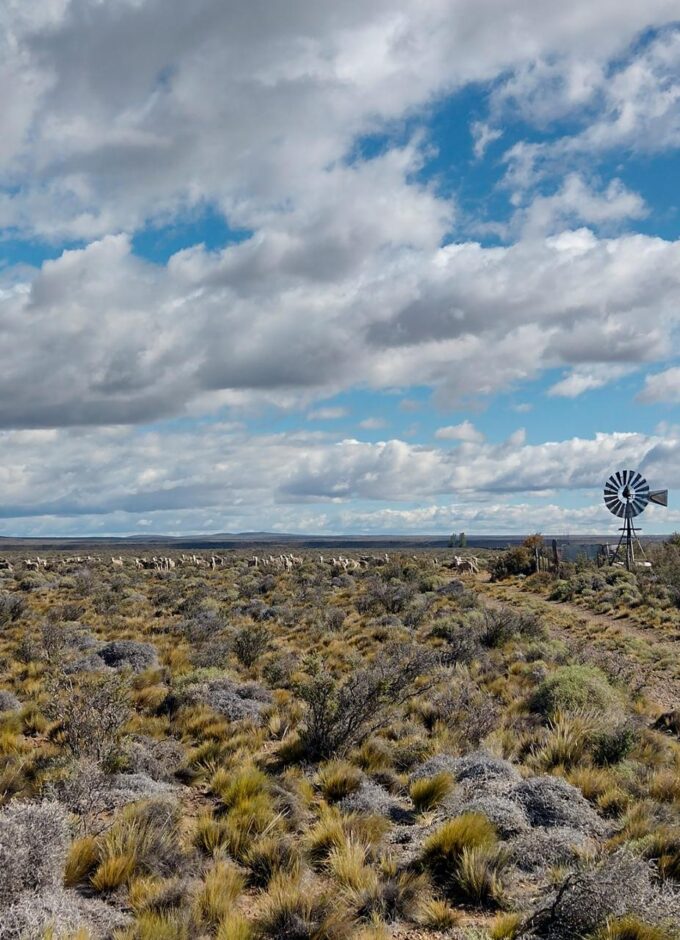 التنوع النباتي عامل الحماية الأول#التنوع #النباتي #عامل #الحماية #الأول