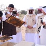 تربية ملكات النحل لتعزيز إنتاج العسل في رجال ألمع#تربية #ملكات #النحل #لتعزيز #إنتاج #العسل #في #رجال #ألمع