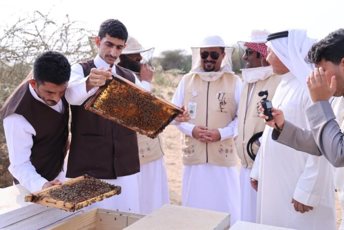 تربية ملكات النحل لتعزيز إنتاج العسل في رجال ألمع#تربية #ملكات #النحل #لتعزيز #إنتاج #العسل #في #رجال #ألمع