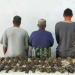 حرس الحدود بينبع يضبط مواطنين ومقيمًا فلبينيًا لصيدهم دون تصريح ومخالفة لائحة الأمن والسلامة البحرية#حرس #الحدود #بينبع #يضبط #مواطنين #ومقيما #فلبينيا #لصيدهم #دون #تصريح #ومخالفة #لائحة #الأمن #والسلامة #البحرية