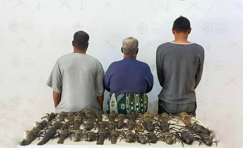 حرس الحدود بينبع يضبط مواطنين ومقيمًا فلبينيًا لصيدهم دون تصريح ومخالفة لائحة الأمن والسلامة البحرية#حرس #الحدود #بينبع #يضبط #مواطنين #ومقيما #فلبينيا #لصيدهم #دون #تصريح #ومخالفة #لائحة #الأمن #والسلامة #البحرية