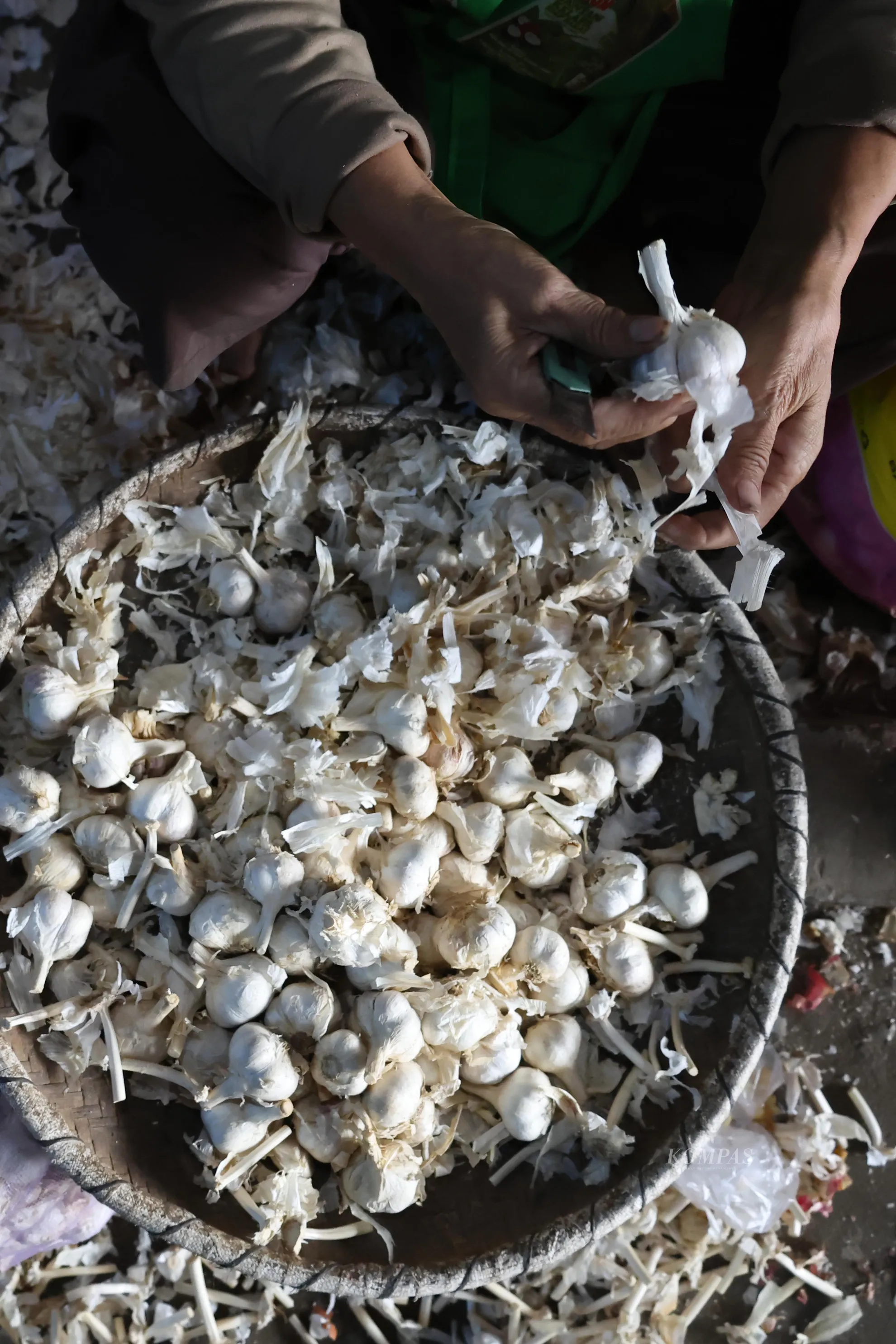 <p>Ia diupah Rp 15.000 per 20 kg bawang putih yang berhasil dikupas.</p><p>KOMPAS/TOTOK WIJAYANTO</p>